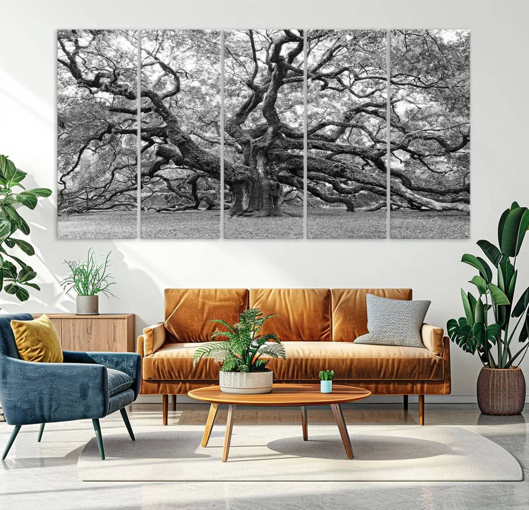 The timeless nature-inspired Black White Angel Oak Tree Wall Art beautifully adorns a modern living room as a triptych. Creating a harmonious blend of style and serenity, this piece elegantly infuses the space with its striking imagery.