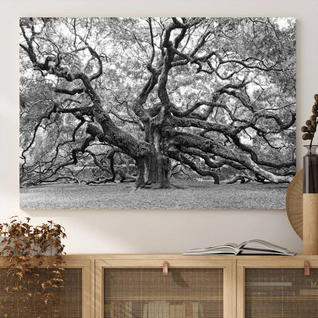 The timeless nature-inspired Black White Angel Oak Tree Wall Art beautifully adorns a modern living room as a triptych. Creating a harmonious blend of style and serenity, this piece elegantly infuses the space with its striking imagery.