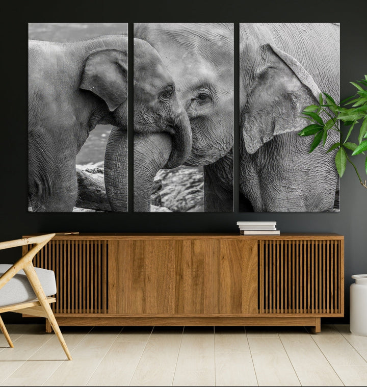 The Elephant Family Wall Art Canvas Print, depicting a black and white triptych of elephants embracing, is a museum-quality piece meticulously hand-assembled into framed art. This elegant canvas combines sophistication with the convenience of free shipping.