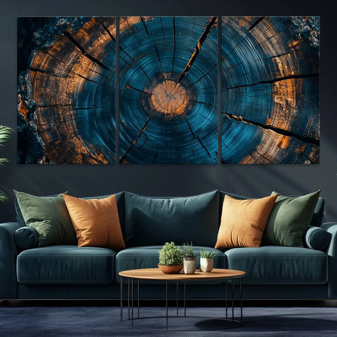 Farmhouse Wall Art of abstract tree rings, bathed in natural light.