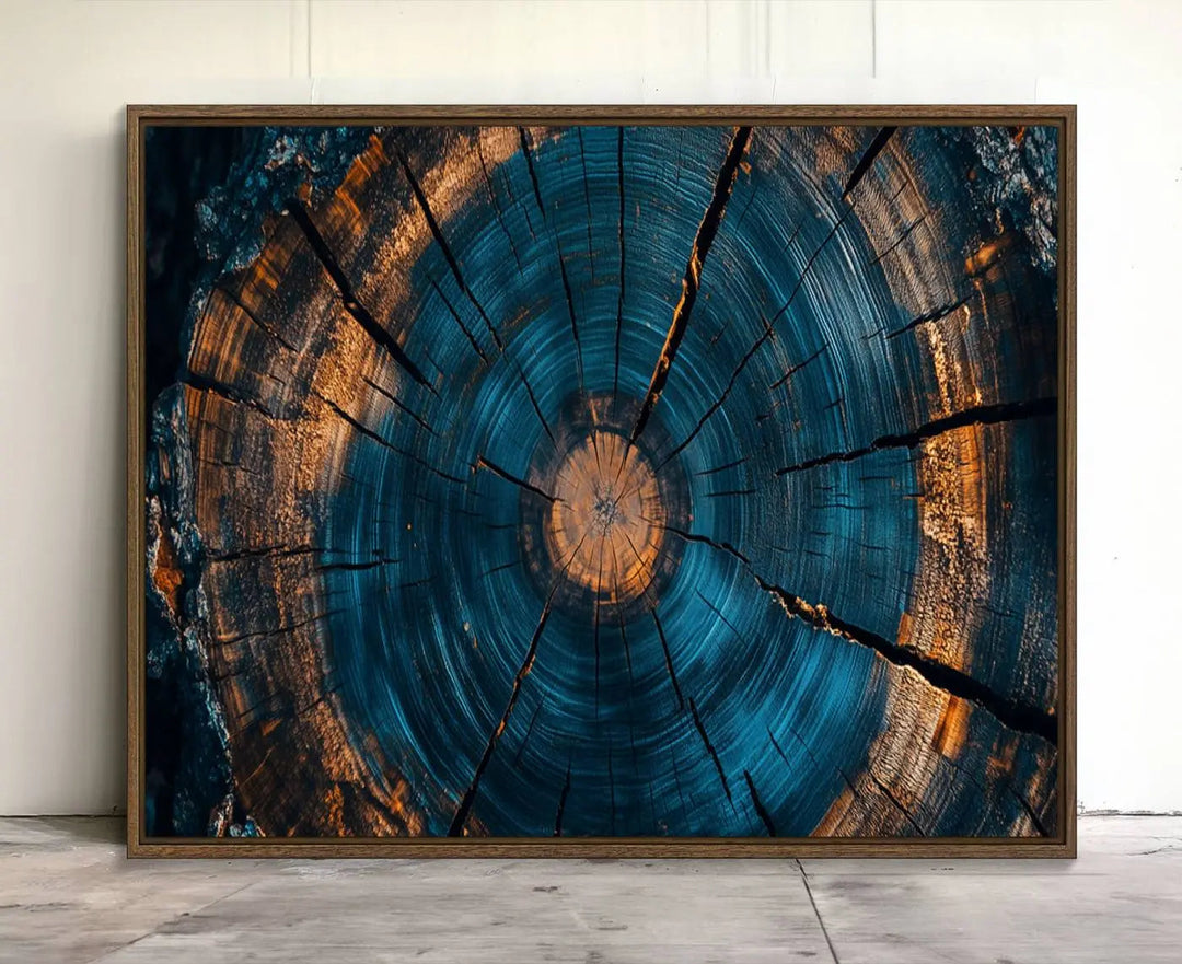 Farmhouse Wall Art of abstract tree rings, bathed in natural light.