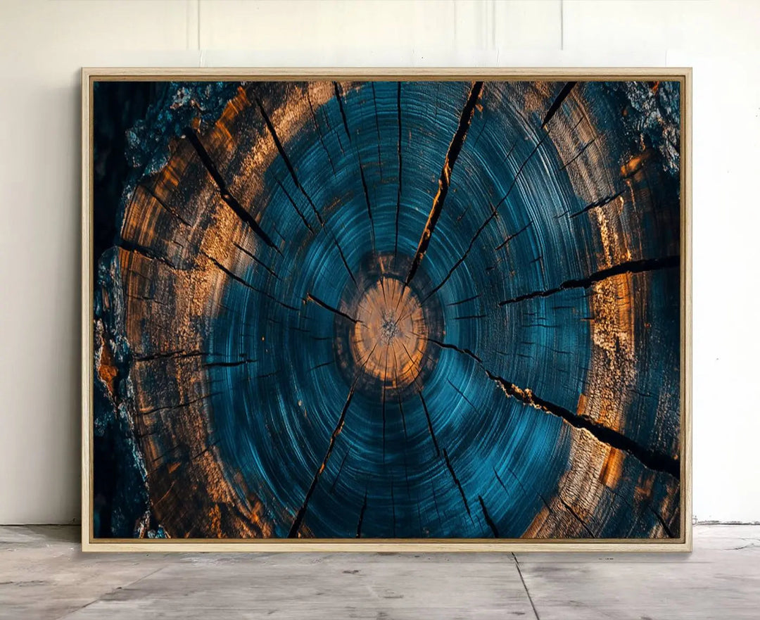 Farmhouse Wall Art of abstract tree rings, bathed in natural light.