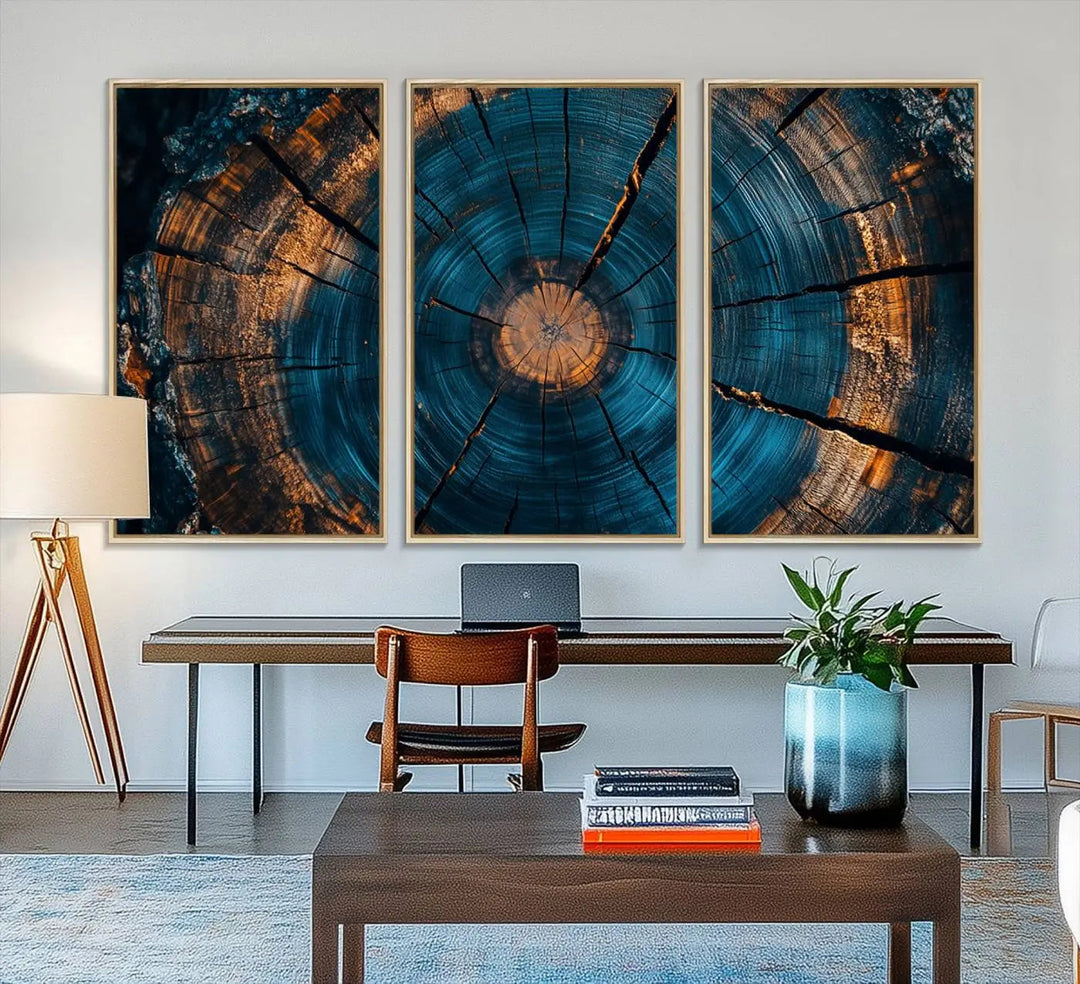 Farmhouse Wall Art of abstract tree rings, bathed in natural light.