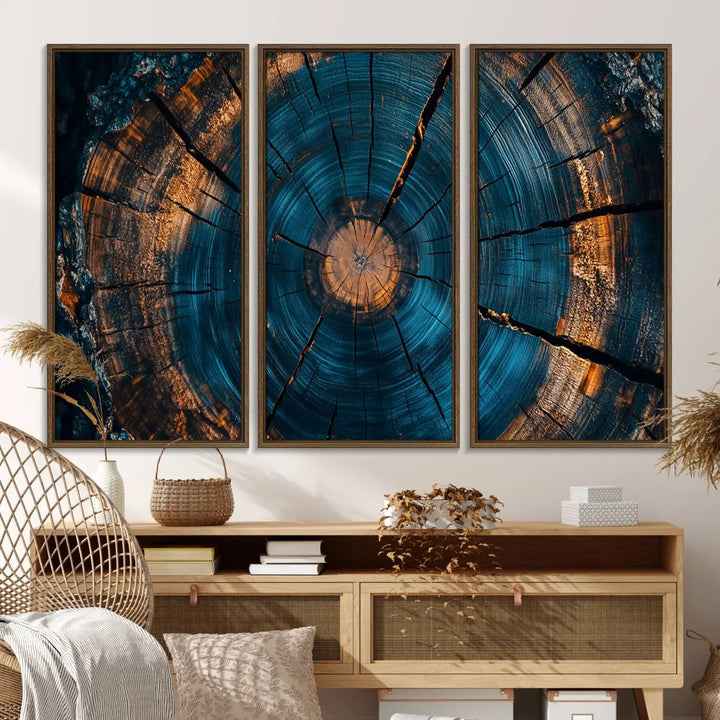 Farmhouse Wall Art of abstract tree rings, bathed in natural light.