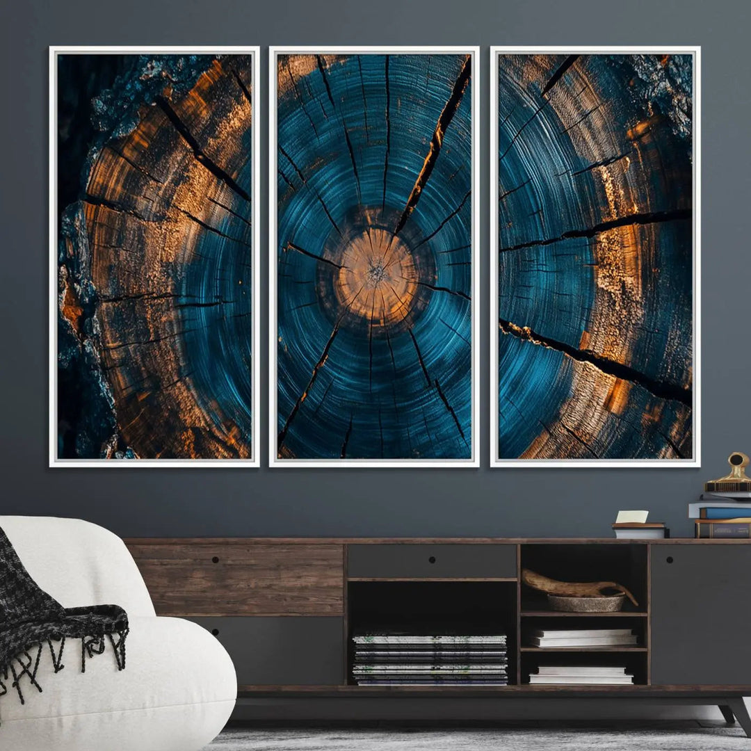 Farmhouse Wall Art of abstract tree rings, bathed in natural light.