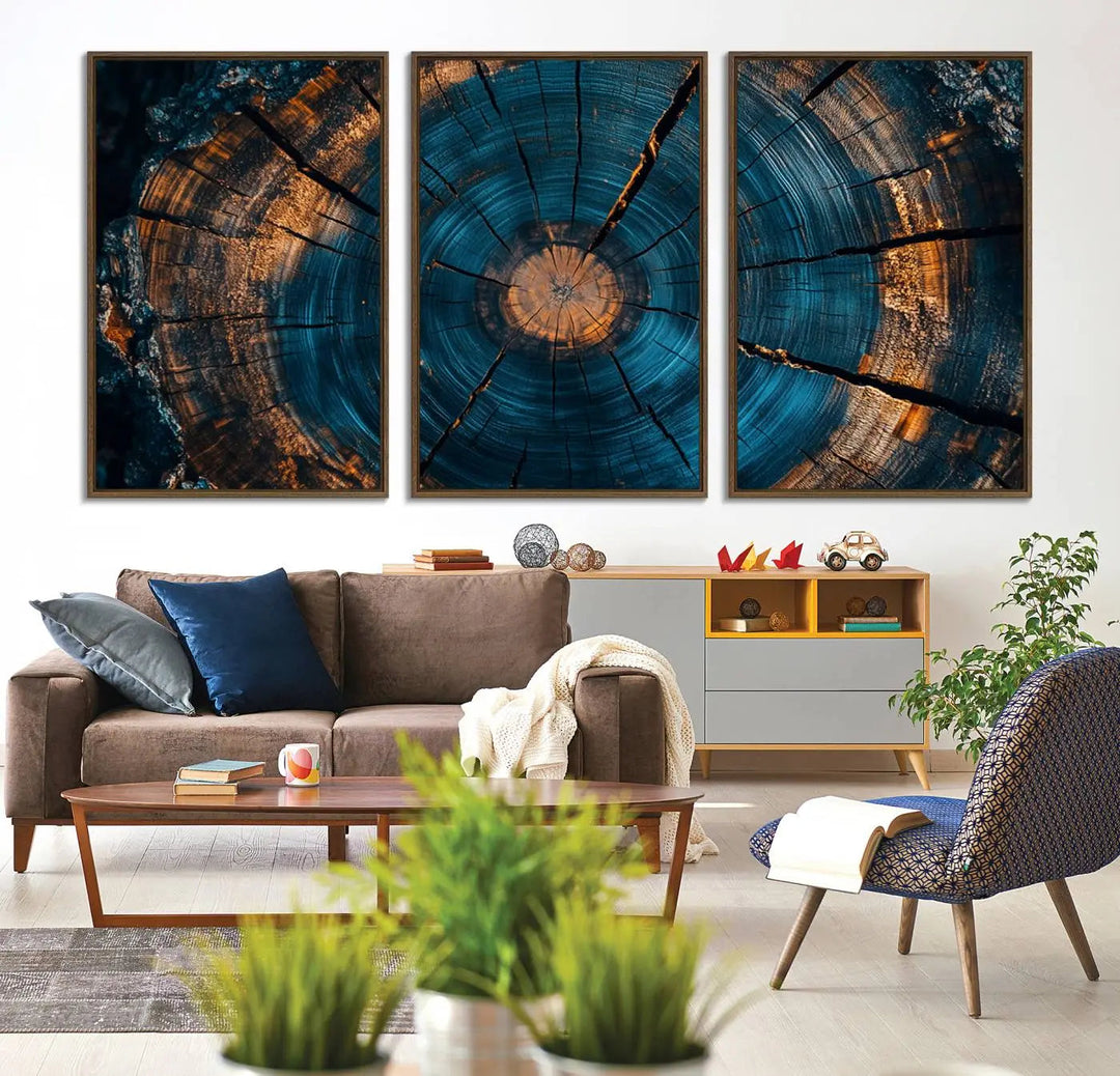 Farmhouse Wall Art of abstract tree rings, bathed in natural light.