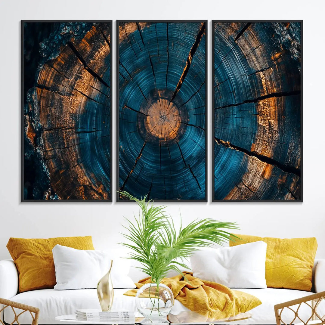 Farmhouse Wall Art of abstract tree rings, bathed in natural light.