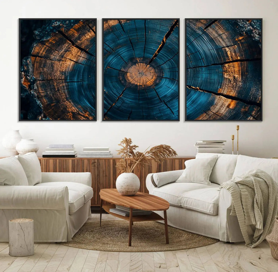 Farmhouse Wall Art of abstract tree rings, bathed in natural light.