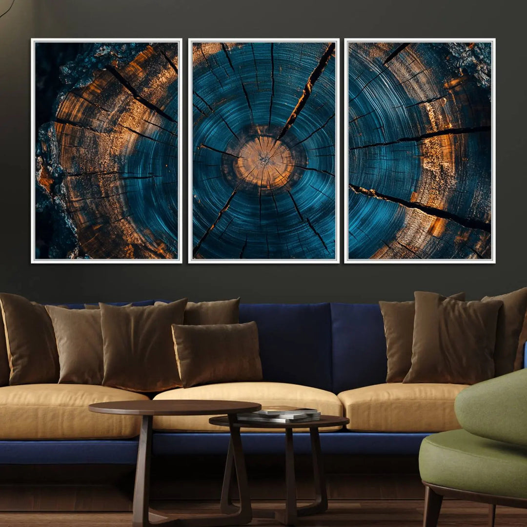 Farmhouse Wall Art of abstract tree rings, bathed in natural light.