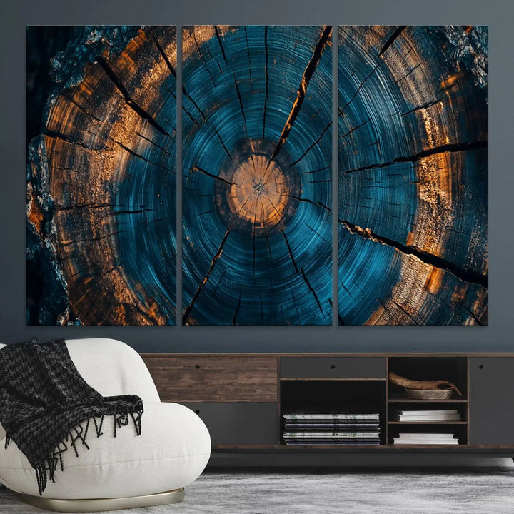 Farmhouse Wall Art of abstract tree rings, bathed in natural light.