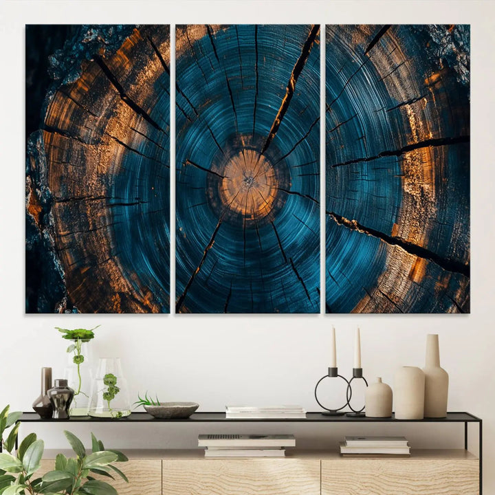 Farmhouse Wall Art of abstract tree rings, bathed in natural light.