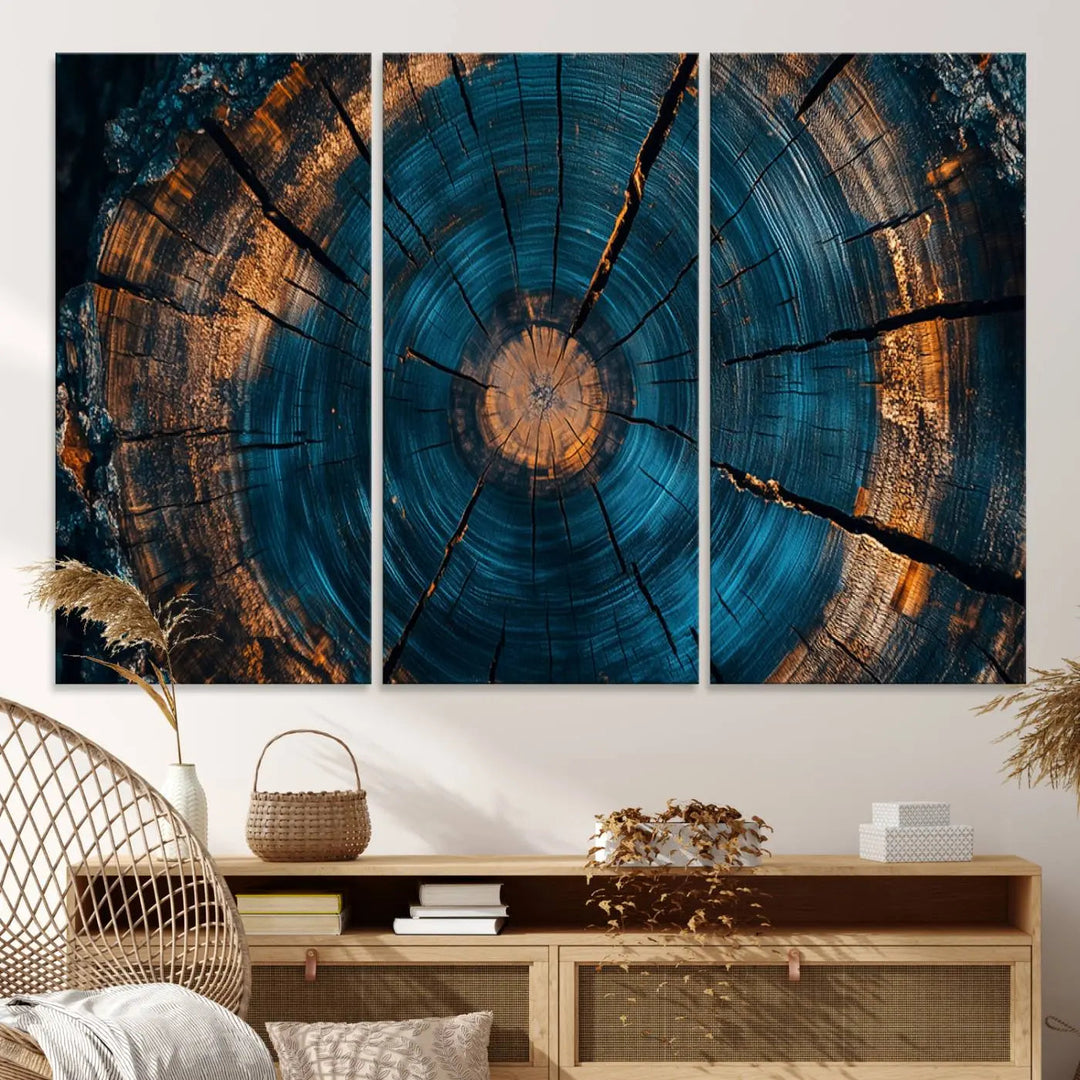 Farmhouse Wall Art of abstract tree rings, bathed in natural light.