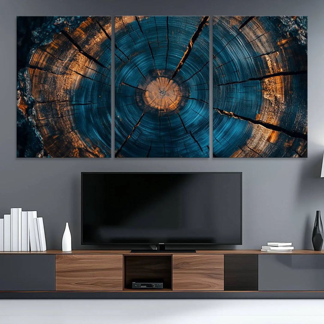 Farmhouse Wall Art of abstract tree rings, bathed in natural light.