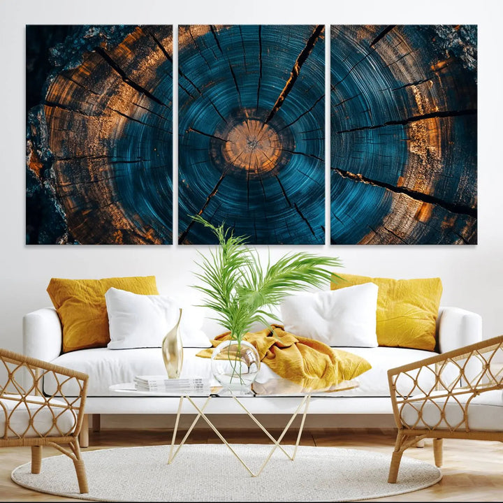 Farmhouse Wall Art of abstract tree rings, bathed in natural light.