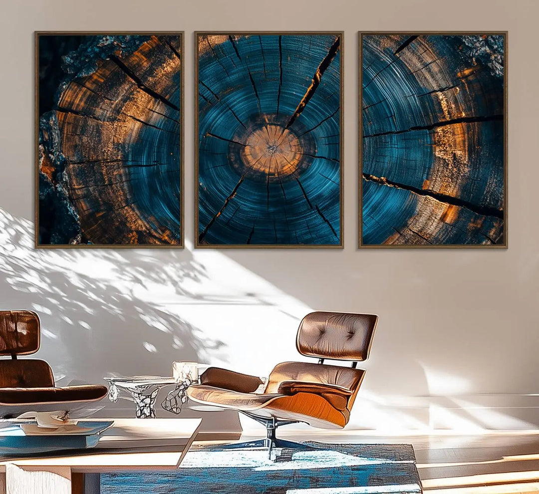 Farmhouse Wall Art of abstract tree rings, bathed in natural light.