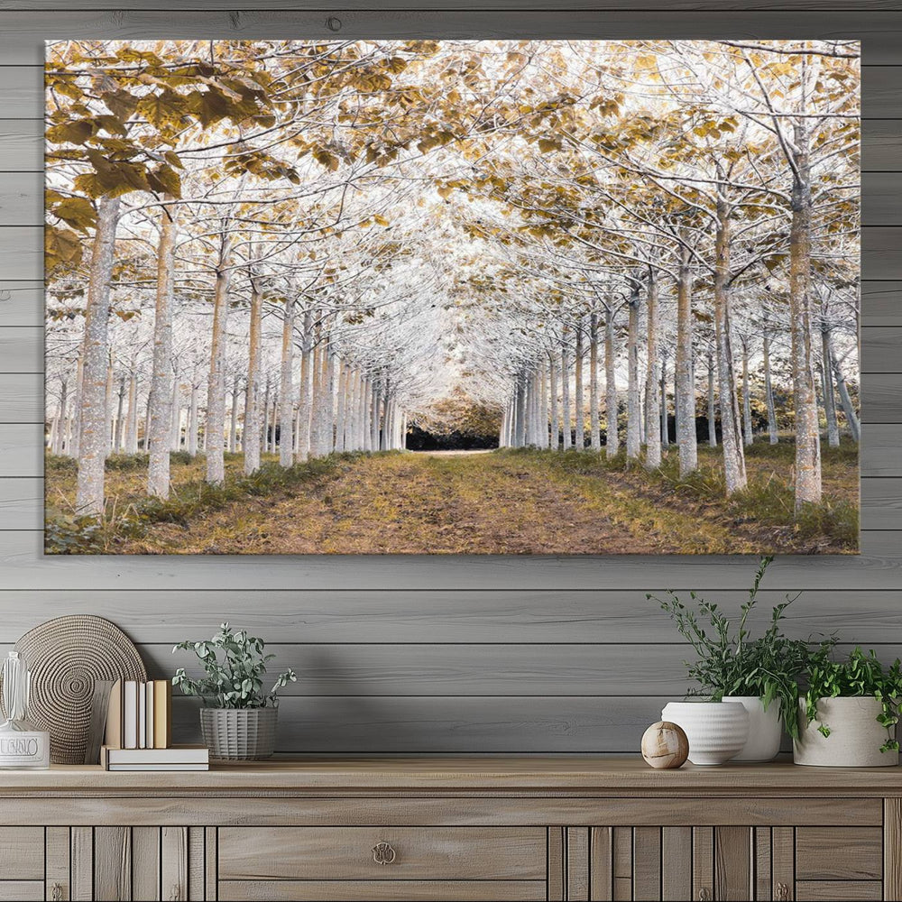 On a dark wall, the Forest Grove Wall Art showcases the Serene Pathway Canvas Print, highlighting autumn trees to create captivating nature-themed decor.