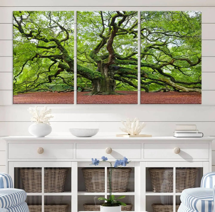 The living room features the Framed Angel Oak Tree Wall Art, a 3-panel canvas print depicting the tree's sprawling branches and lush green leaves. This large nature artwork brings a refreshing natural touch to the space and is ready to hang as home decor.