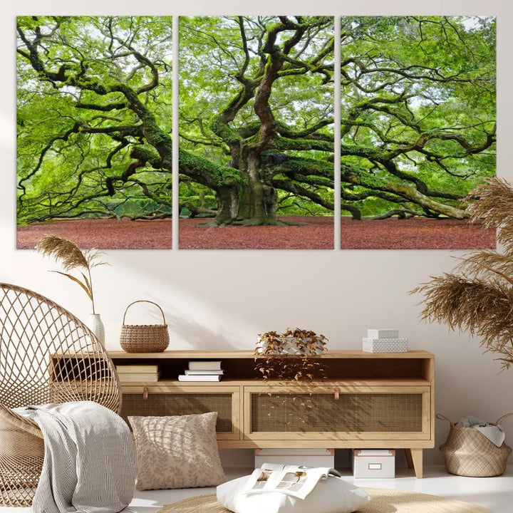 The living room features the Framed Angel Oak Tree Wall Art, a 3-panel canvas print depicting the tree's sprawling branches and lush green leaves. This large nature artwork brings a refreshing natural touch to the space and is ready to hang as home decor.