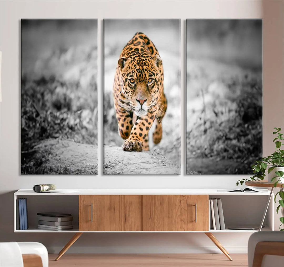 A striking three-panel "Jaguar Stalking Wall Art Canvas Print - Majestic Big Cat in Focused Pursuit" features a leopard walking forward, set against a black and white background.