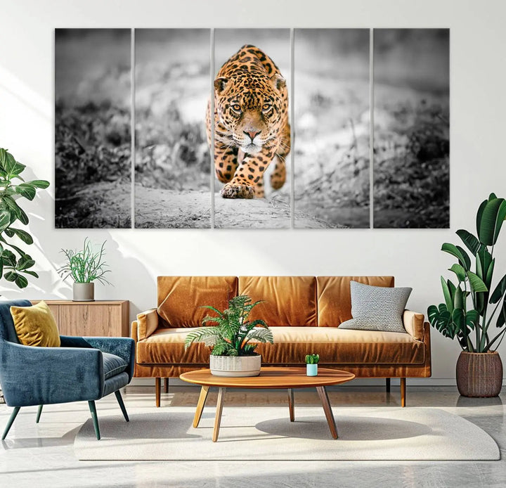 A striking three-panel "Jaguar Stalking Wall Art Canvas Print - Majestic Big Cat in Focused Pursuit" features a leopard walking forward, set against a black and white background.