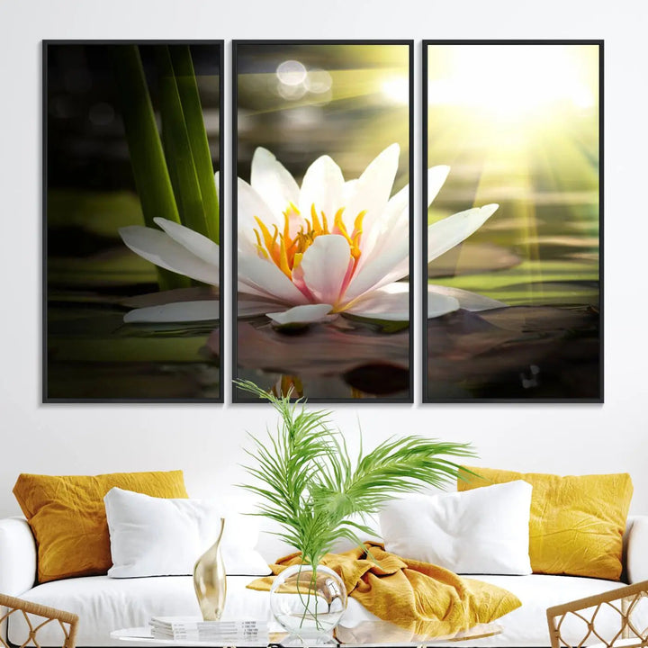 A serene Lotus Flower Wall Art Canvas Print depicts a water lily with sun rays, beautifully displayed on a light-colored wall.