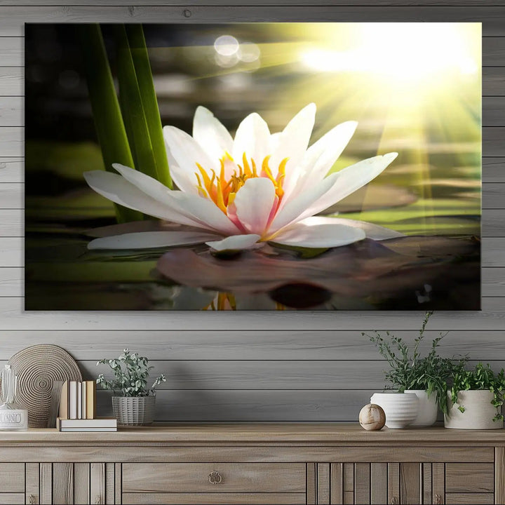 A serene Lotus Flower Wall Art Canvas Print depicts a water lily with sun rays, beautifully displayed on a light-colored wall.