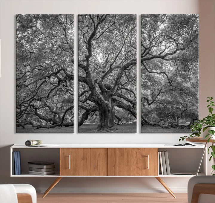 A modern living room highlighted by a striking Majestic Angel Oak Tree Black and White Canvas Print—Multi Panel Wall Art, Giclée Print—adorning the wall.