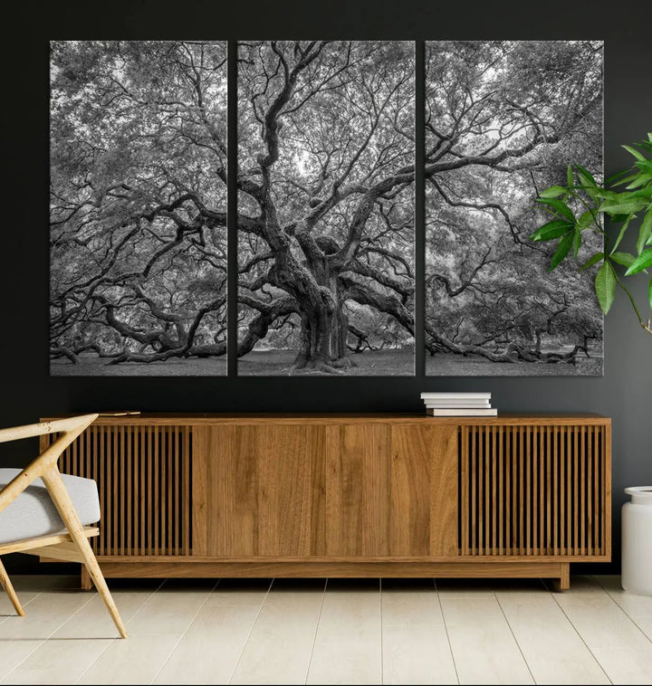 A modern living room highlighted by a striking Majestic Angel Oak Tree Black and White Canvas Print—Multi Panel Wall Art, Giclée Print—adorning the wall.