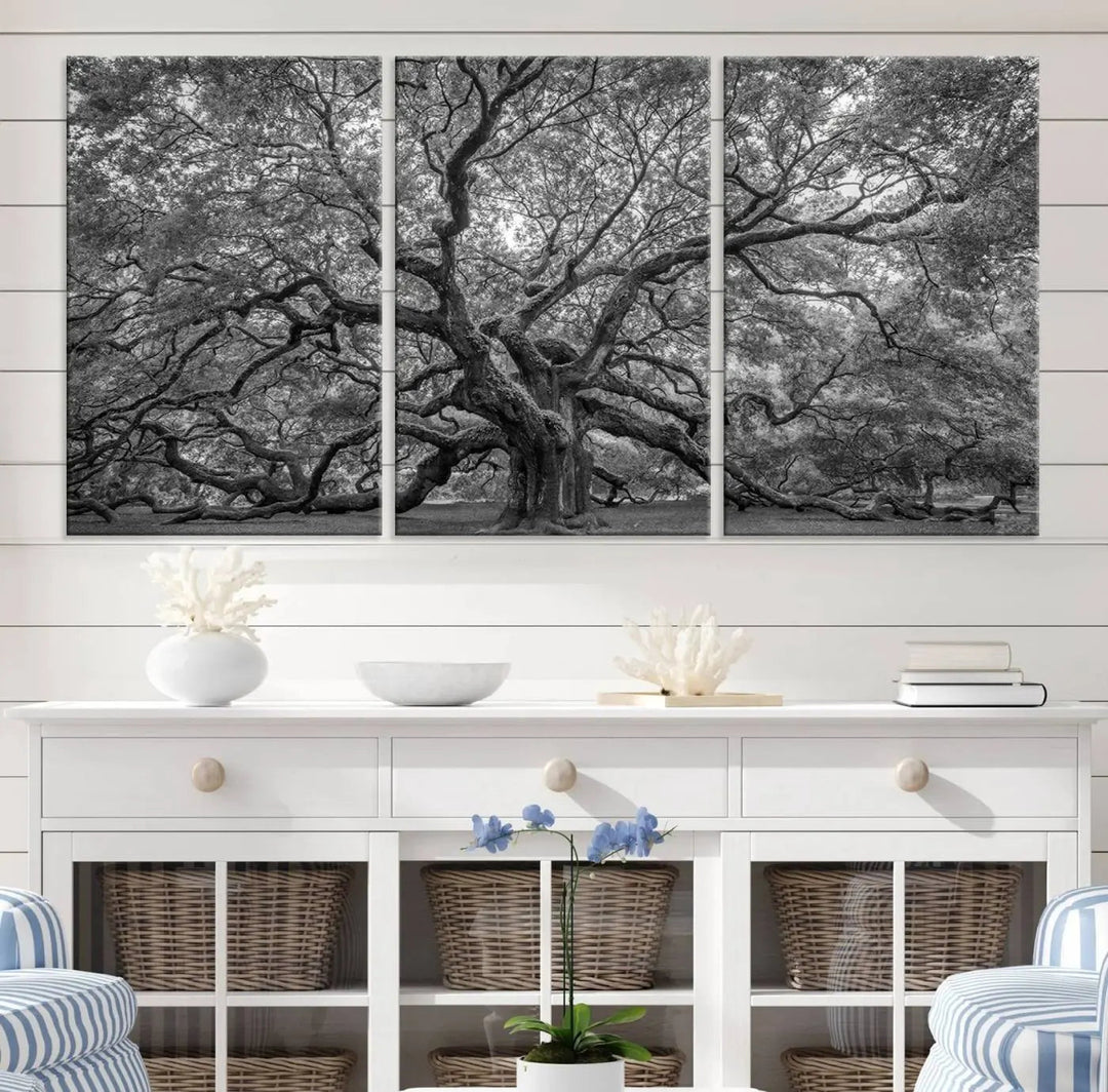 A modern living room highlighted by a striking Majestic Angel Oak Tree Black and White Canvas Print—Multi Panel Wall Art, Giclée Print—adorning the wall.