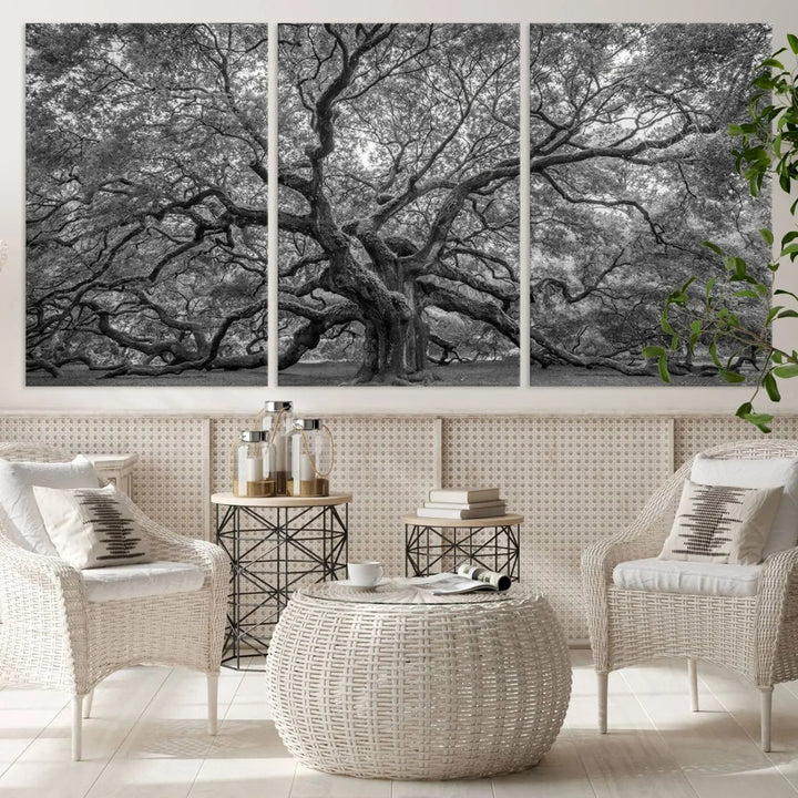 A modern living room highlighted by a striking Majestic Angel Oak Tree Black and White Canvas Print—Multi Panel Wall Art, Giclée Print—adorning the wall.