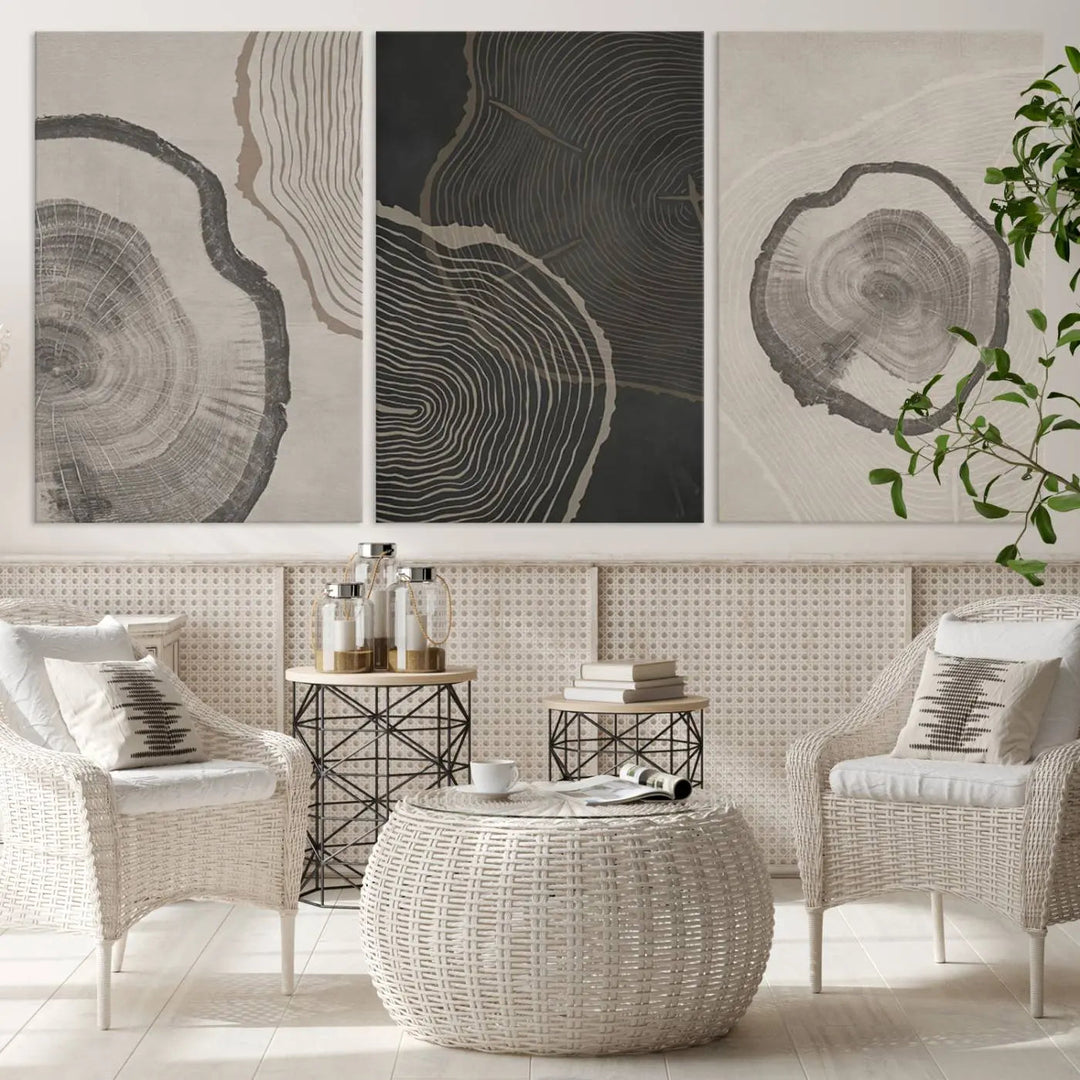 A remarkable set of "Modern Abstract Tree Ring Canvas Art" featuring three panels with large tree ring designs hangs prominently, adding to the minimalistic elegance of the living room.