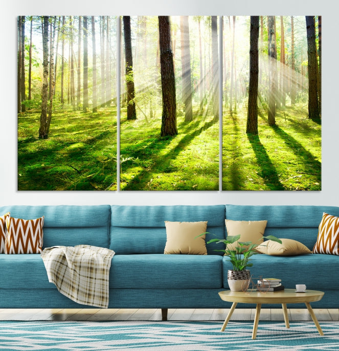 Lienzo decorativo para pared grande con bosque y sol