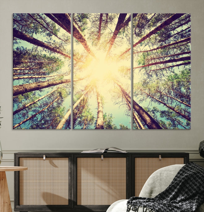 Tree and Sunshine Canvas Print