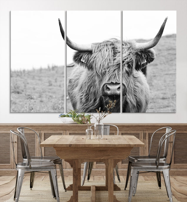 Newfoundland Cow Art Wall Art Canvas Print