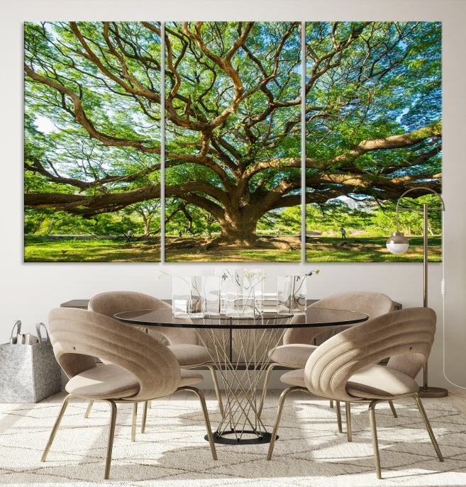 Mighty Angel Oak Wall Art Canvas Print