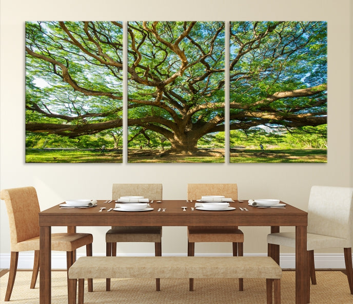 Mighty Angel Oak Wall Art Canvas Print