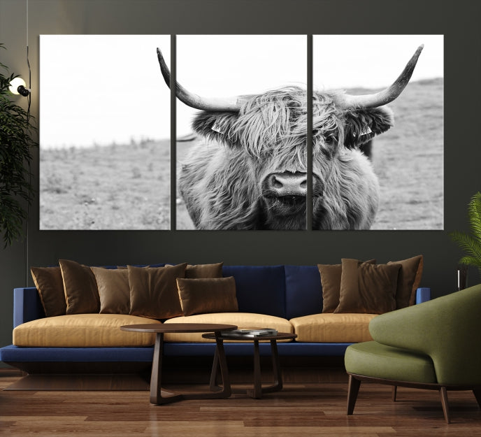 Newfoundland Cow Art Wall Art Canvas Print