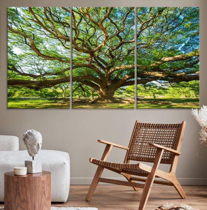 Mighty Angel Oak Wall Art Canvas Print