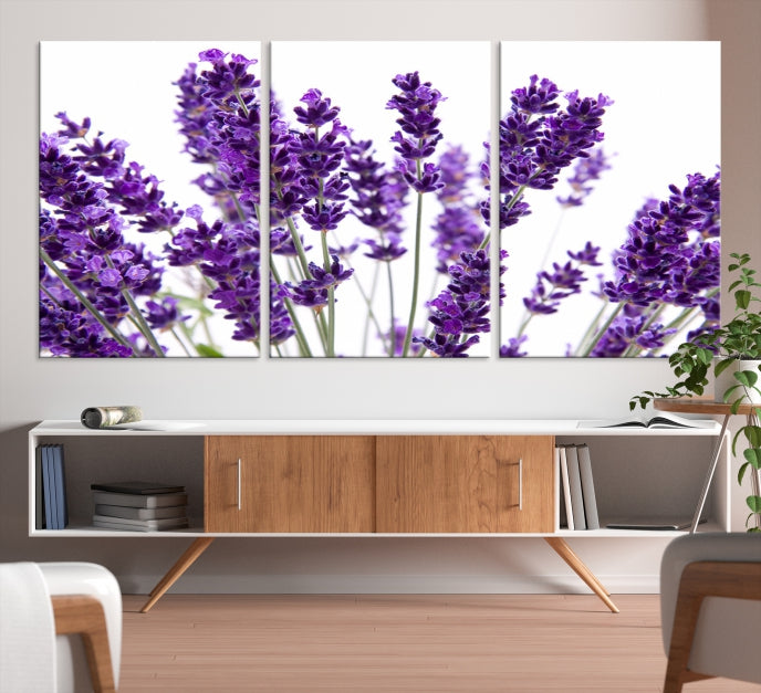 Lavender Flower Wall Art Canvas Print