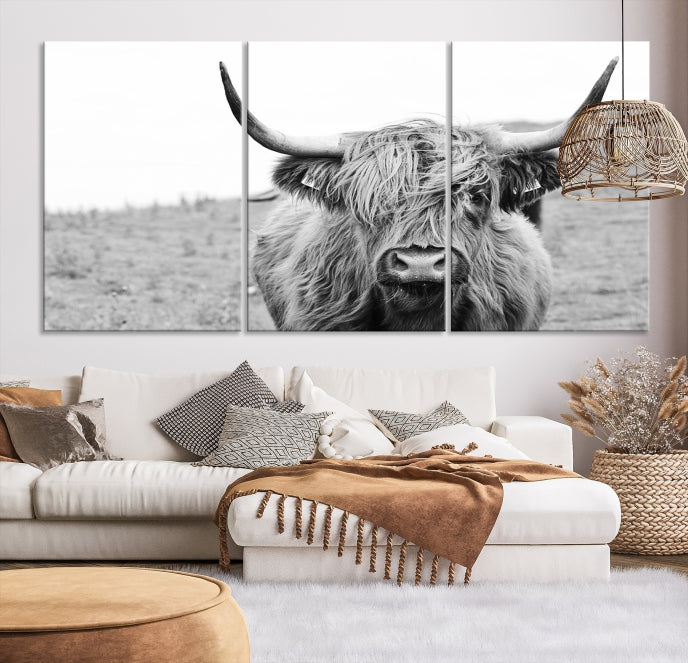 Newfoundland Cow Art Wall Art Canvas Print