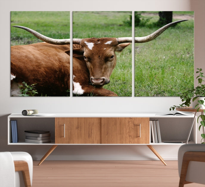 Longhorn Cow Animal Wall Art Canvas Print