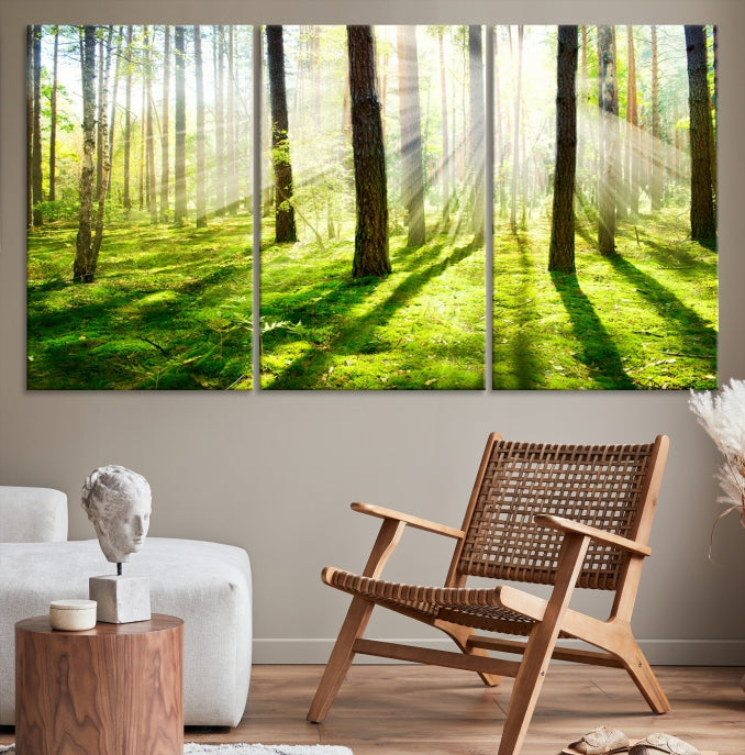 Lienzo decorativo para pared grande con bosque y sol