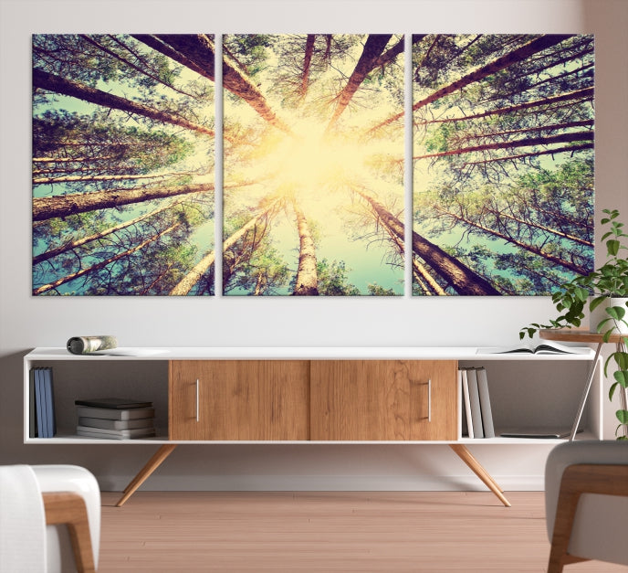 Arbre et soleil Impression sur toile