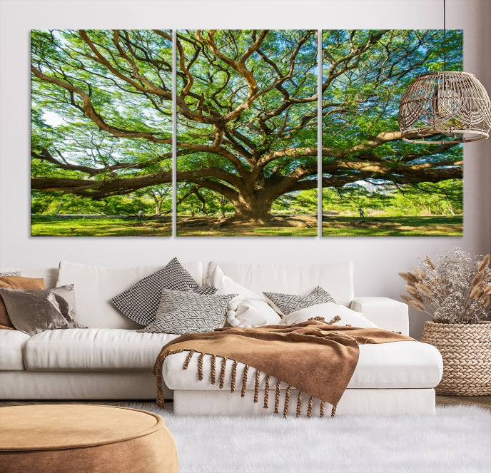 Mighty Angel Oak Wall Art Canvas Print