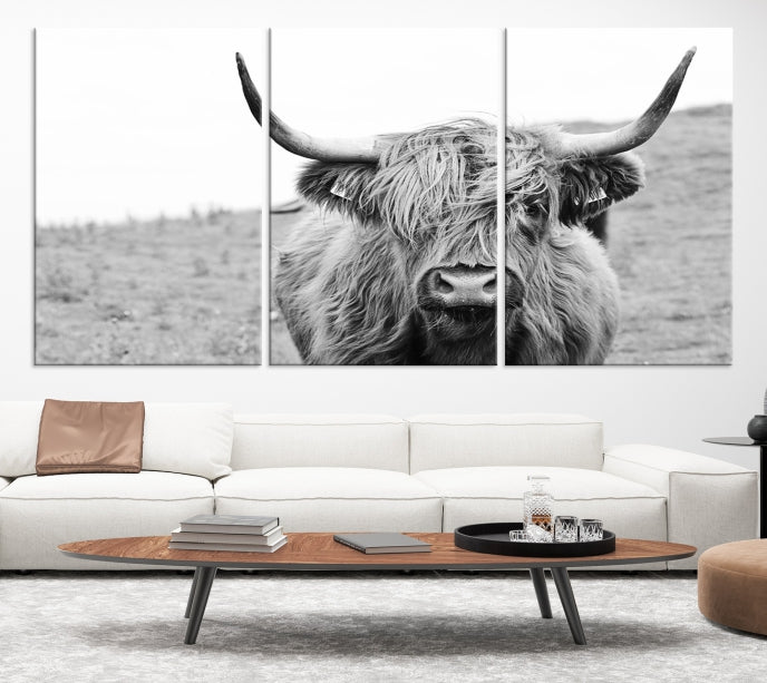 Newfoundland Cow Art Wall Art Canvas Print