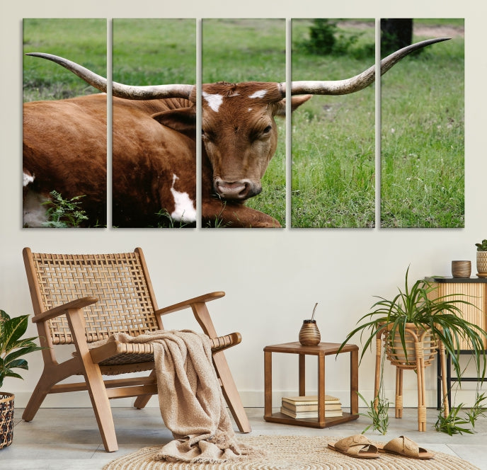 Longhorn Cow Animal Wall Art Canvas Print