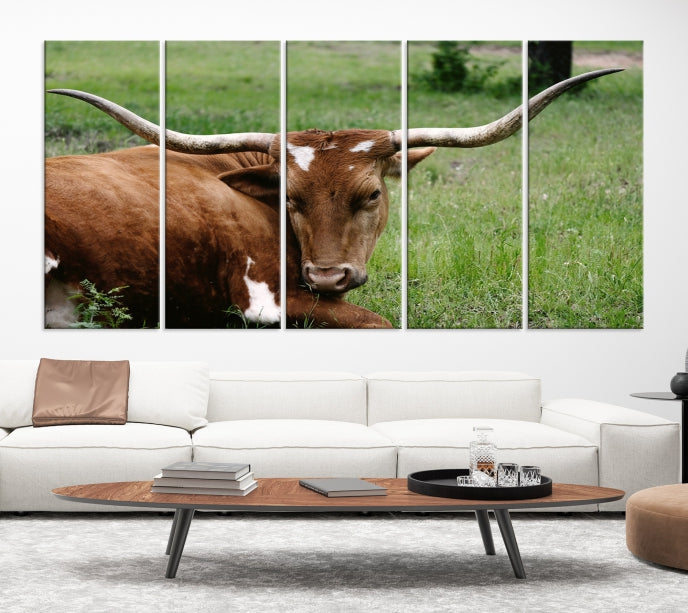 Longhorn Cow Animal Wall Art Canvas Print