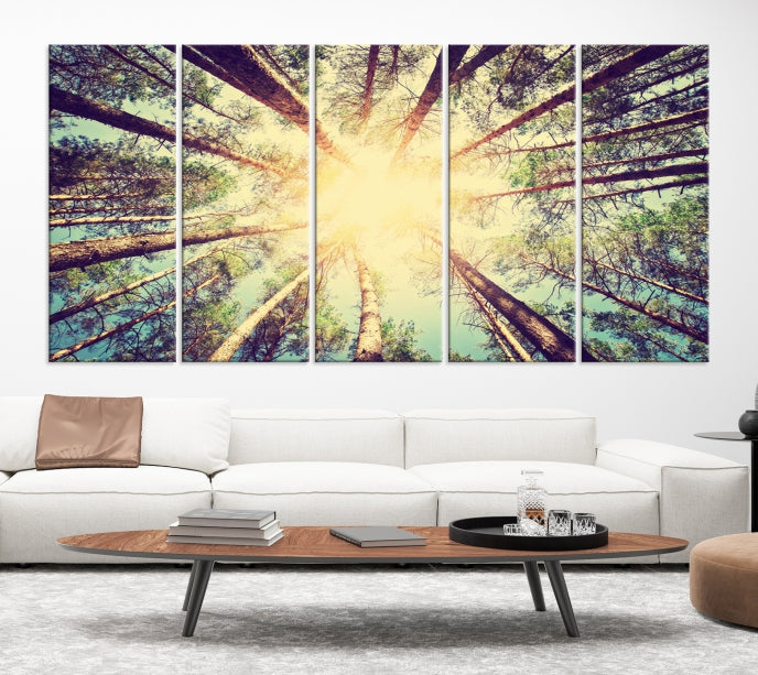 Tree and Sunshine Canvas Print