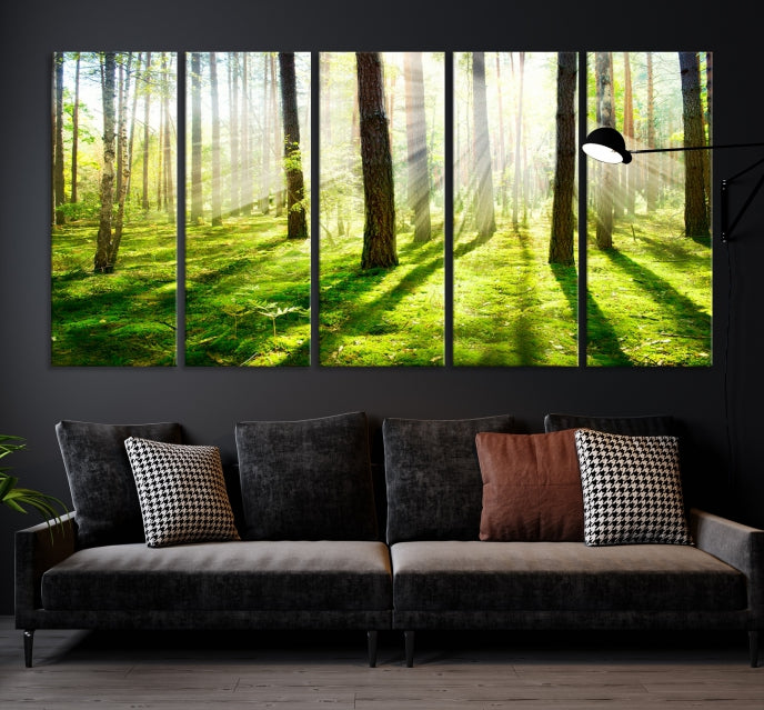 Lienzo decorativo para pared grande con bosque y sol