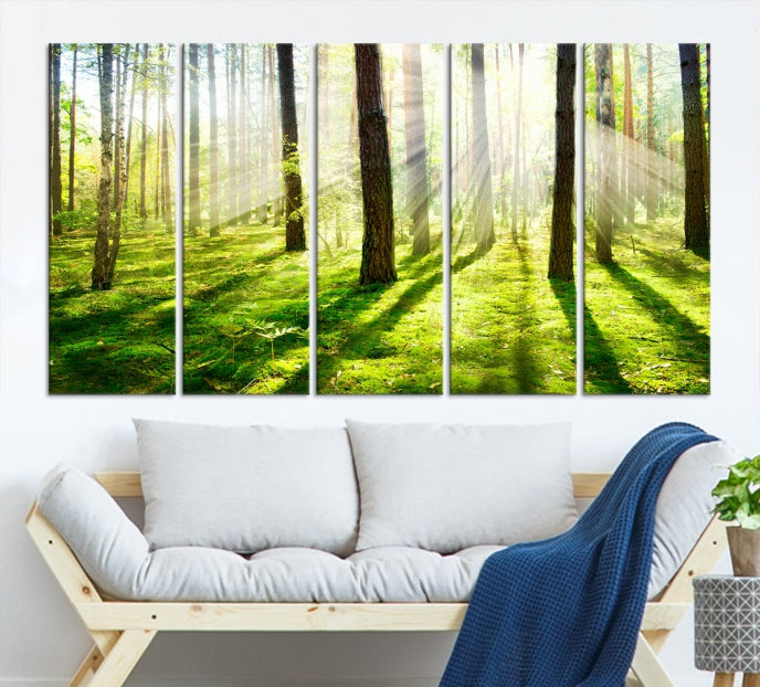 Lienzo decorativo para pared grande con bosque y sol